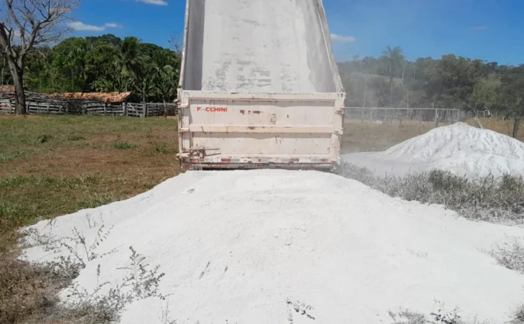 Distribuição de 60 mil toneladas de calcário beneficia agricultores familiares em todo o Tocantins