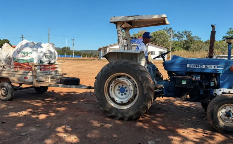 Projeto de logística reversa supera 22 mil embalagens recolhidas no Tocantins