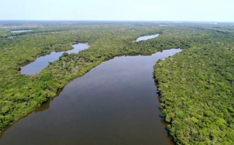 Novo programa transforma multas ambientais em investimentos para o meio ambiente no Tocantins