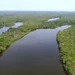 Novo programa transforma multas ambientais em investimentos para o meio ambiente no Tocantins