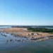 Novas regras para praias sazonais unem turismo e conservação ambiental no Tocantins