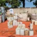 Devolução de embalagens de agrotóxicos cresce no Tocantins com projeto itinerante
