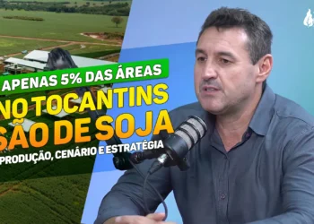 Maurício Buffon analisa cenário da soja, desafios do agro e crescimento do Tocantins