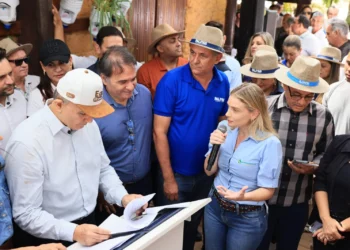 Palmas cria incentivos fiscais para atrair investimentos no agro e reduzir custos do setor