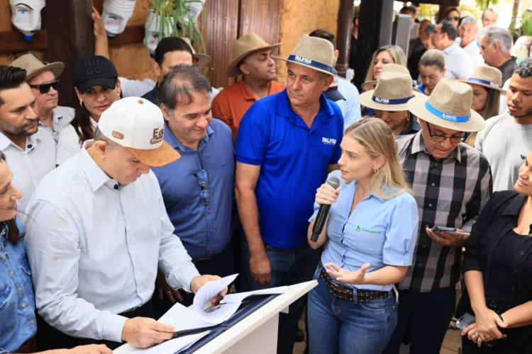 Palmas cria incentivos fiscais para atrair investimentos no agro e reduzir custos do setor