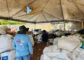 Programa ambiental do Sabin fortalece reciclagem e evita envio de resíduos para aterros 