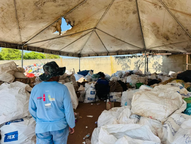 Programa ambiental do Sabin fortalece reciclagem e evita envio de resíduos para aterros 