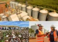 Frísia celebra 10 anos no Tocantins com trajetória marcada por crescimento e cooperação