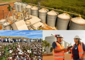 Frísia celebra 10 anos no Tocantins com trajetória marcada por crescimento e cooperação