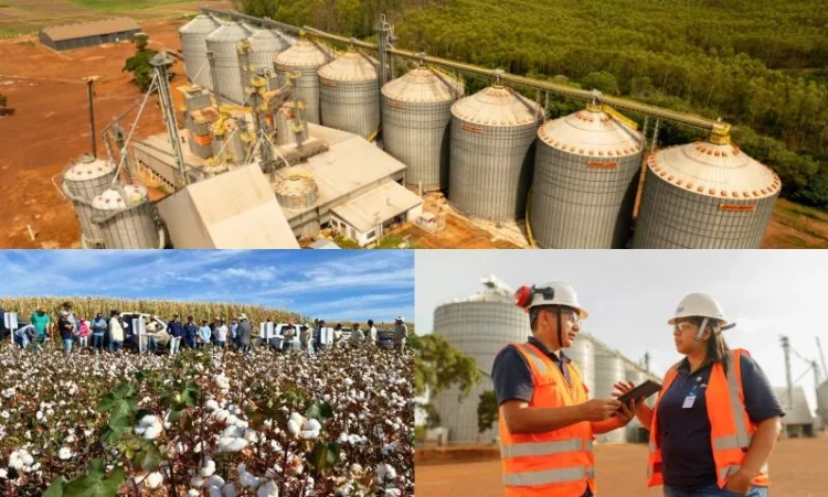 Frísia celebra 10 anos no Tocantins com trajetória marcada por crescimento e cooperação