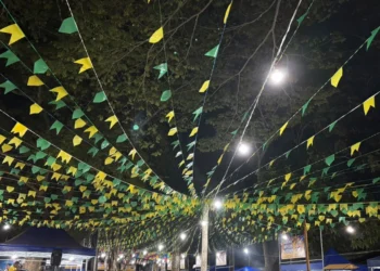 Entre bandeirolas e jogos da Seleção, segurança com a rede elétrica deve ser prioridade