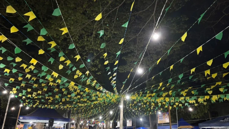 Entre bandeirolas e jogos da Seleção, segurança com a rede elétrica deve ser prioridade