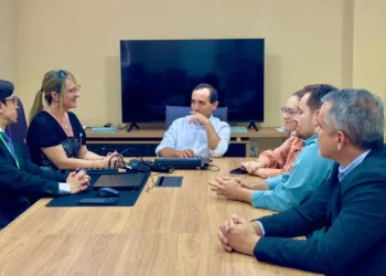 CRMV Tocantins passa por auditoria do Conselho Federal de Medicina Veterinária