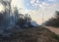 Calor, seca e queimadas: Tocantins entra em período de atenção com o El Niño
