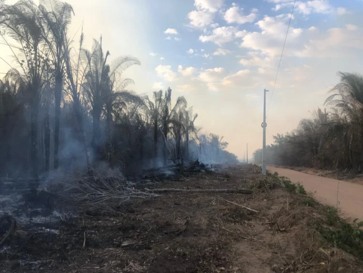 Calor, seca e queimadas: Tocantins entra em período de atenção com o El Niño