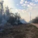 Calor, seca e queimadas: Tocantins entra em período de atenção com o El Niño