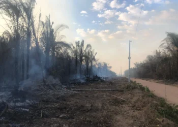 Queimadas podem começar com pequenas atitudes e colocar em risco o fornecimento de energia