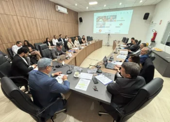 Sebrae articula apoio de senadores a ajustes na Reforma Tributária para pequenos negócios
