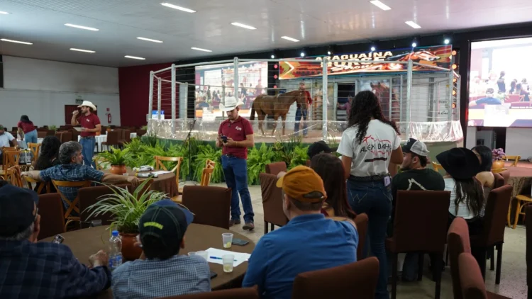 Araguaína Horse Show abre circuito de leilões da Expoara 2026