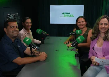 Elas Mais Fortes: como o empreendedorismo está transformando a vida de mulheres em Cariri Tocantins