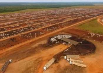 Credores aprovam plano de recuperação judicial do Grupo LFPEC