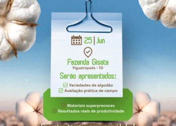 3º Tour do Algodão reúne especialistas e apresenta resultados de cultivares em Figueirópolis