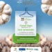 3º Tour do Algodão reúne especialistas e apresenta resultados de cultivares em Figueirópolis