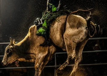 Caldas Rodeo será realizado em setembro com segunda rodada da Etapa Master 2027 da PBR