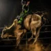 Caldas Rodeo será realizado em setembro com segunda rodada da Etapa Master 2027 da PBR