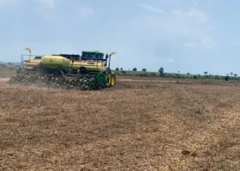 Produtor do Tocantins alcança produtividade de 76 sacas de soja por hectare na safra 2025/26