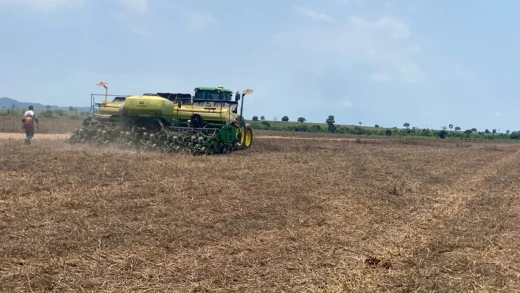 Produtor do Tocantins alcança produtividade de 76 sacas de soja por hectare na safra 2025/26