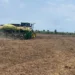 Produtor do Tocantins alcança produtividade de 76 sacas de soja por hectare na safra 2025/26