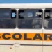 Cena inusitada: cavalos são levados em ônibus para evento no interior do Tocantins