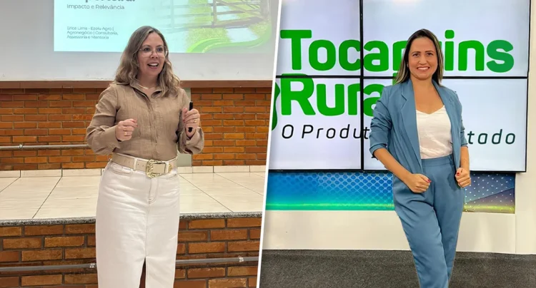 Experiência, oportunidade e planejamento: os caminhos para empreender