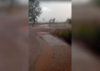 Chuva inesperada é registrada na zona rural de Talismã durante período de estiagem