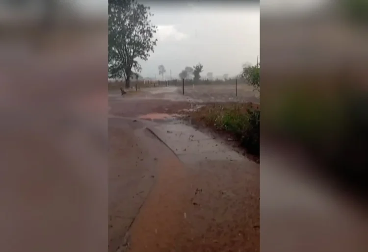 Chuva inesperada é registrada na zona rural de Talismã durante período de estiagem
