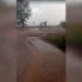 Chuva inesperada é registrada na zona rural de Talismã durante período de estiagem