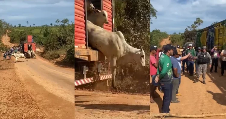 PF instaura investigação após incidentes em operação contra pecuária ilegal na Terra do Meio