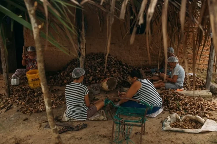 Reconhecimento cultural celebra legado das quebradeiras de coco babaçu no Tocantins