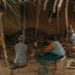Reconhecimento cultural celebra legado das quebradeiras de coco babaçu no Tocantins