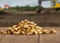 Projeto de ouro de R$ 1,4 bilhão no Tocantins abre oportunidades para fornecedores