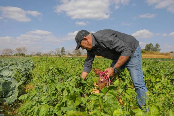 PGPAF libera bônus para produtos do Pronaf no período de 10 de julho a 9 de agosto
