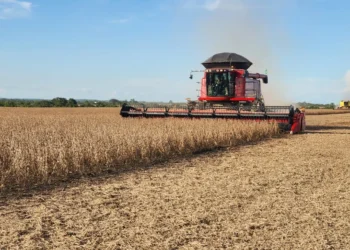 Tocantins deve produzir quase 10 milhões de toneladas de grãos e impulsiona avanço do Matopiba na safra 2025/26, segundo Conab