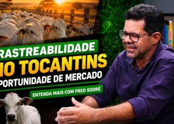 Nova tecnologia acelera pesquisas e pode impulsionar desenvolvimento de trigos mais resistentes no Brasil