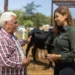 Exposição Agropecuária de Almas impulsiona empreendedorismo e desenvolvimento regional com programação do Sebrae Tocantins
