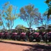 Novos tratores e pá-carregadeira ampliam apoio à agricultura familiar em Palmas