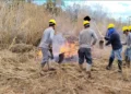 Frísia capacita cooperados e colaboradores para prevenção e combate a incêndios rurais no Tocantins