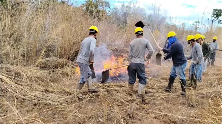Frísia capacita cooperados e colaboradores para prevenção e combate a incêndios rurais no Tocantins