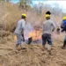 Frísia capacita cooperados e colaboradores para prevenção e combate a incêndios rurais no Tocantins