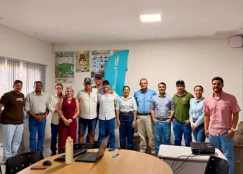 Painéis do Campo Futuro apontam que investimento em tecnologia é decisivo para aumentar a rentabilidade da pecuária no Tocantins